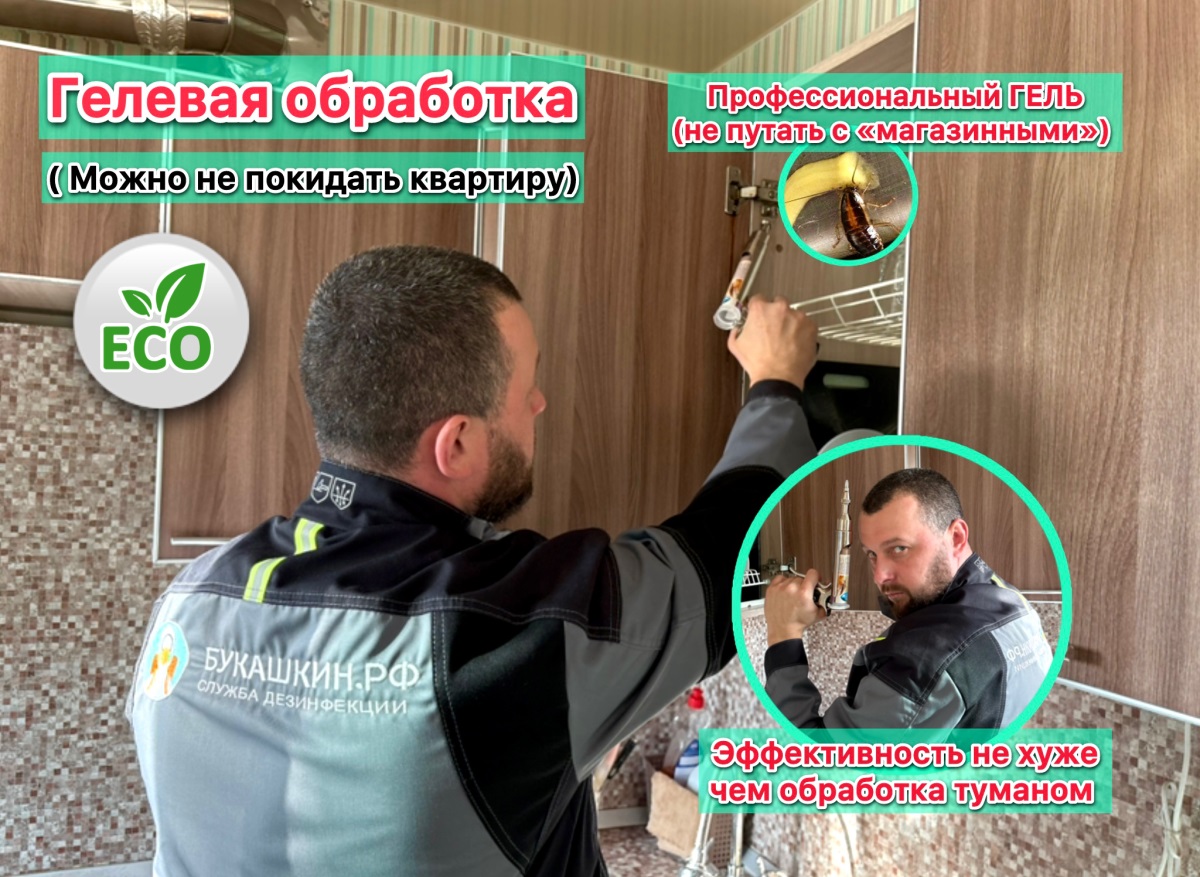 Галерея